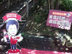 -金盆阿嬷香菇茶叶蛋(玄光店)