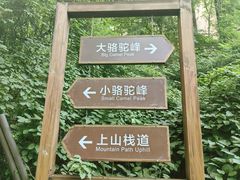 -大岭沟猕猴桃谷风景区