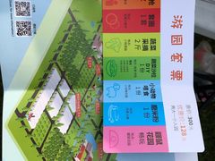 -前小桔亲子创意农场·草莓采摘·露营烧烤