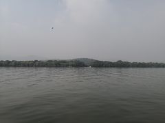 -西湖外事游船(花港观鱼码头)