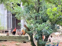 -泉州海丝野生动物世界