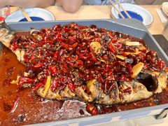 -鱼酷活鱼烤鱼(沈阳大悦城店)