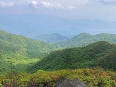 -大围山国家森林公园