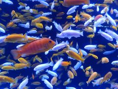 -成都浩海立方海洋公园