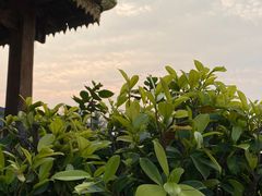 -曼丢傣家古寨