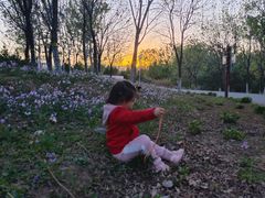 -永定河休闲森林公园