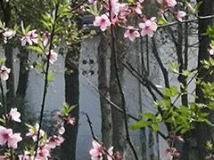 -杭州花家山庄
