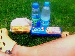 -北京西山国家森林公园