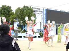 -芜湖新华联大白鲸海洋公园