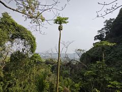-海口火山口国家地质公园