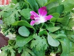 -爱新觉罗福臨火锅馆(万科滑雪场店)