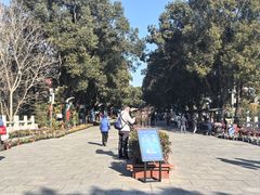 -溱湖国家湿地公园