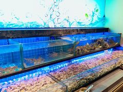 -透明思烤·自助烤肉海鲜火锅(东部星悦天地店)