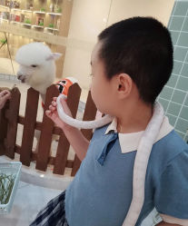-Moni星球萌宠·小马宝莉·灵蛇·高端高阶全萌宠互动体验俱乐部(红豆国际广场店)