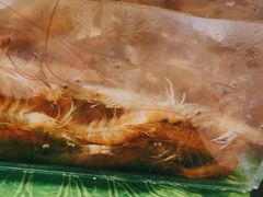 -宴立方海鲜自助(义乌万达广场店)