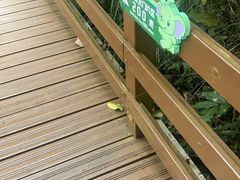 -野象谷景区