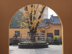 -会龙寺