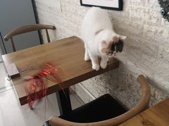 -平行世界·猫咖(首经贸店)