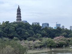 -顺峰山公园