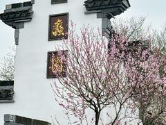 -无锡蠡湖国家湿地公园-蠡园