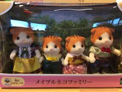-轻井泽王子购物广场