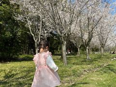 -昆山城市生态森林公园