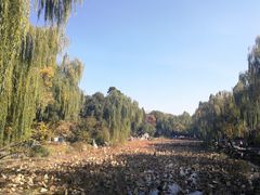 -清华大学-观畴园餐厅
