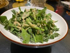 -蒙料·手把肉(望京店)