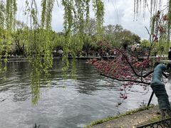 -西湖天地