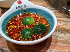 -春润大地海南椰子鸡(沙井京基百纳广场店)