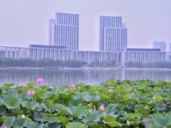 -尚贤河湿地