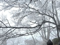 -武当山风景区
