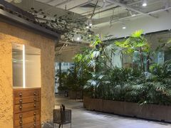 -大视光学•LINDBERG林德伯格•全球手工眼镜集合店(王府井店)