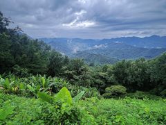 -广州市石门国家森林公园