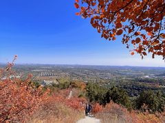 -北京西山国家森林公园