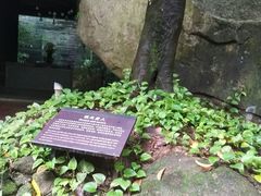 -七仙岭君澜度假酒店·桃源小馆中餐厅