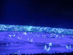 -鼎盛王朝康熙大典实景演出