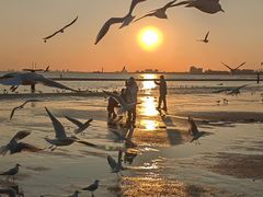 -老虎石海上公园