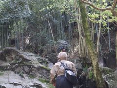 -藏龙百瀑风景区
