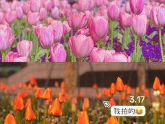 -外滩