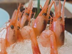 甜虾-山葵家·创意料理(宁波来福士店)