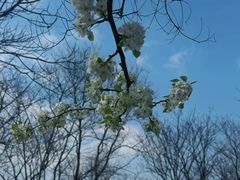 -盘龙城国家考古遗址公园