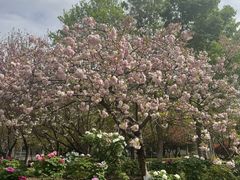 -江南大学(蠡湖校区)