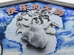 -海合安成都极地海洋公园