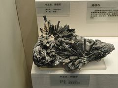 -天津自然博物馆