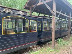 -合肥滨湖国家森林公园