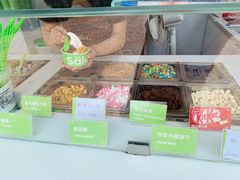 -Salud撒露欧洲冻酸奶(蓝色港湾店)