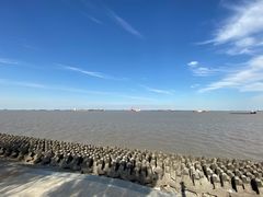 -上海滨江森林公园