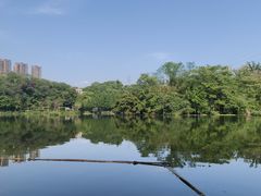 -重庆彩云湖湿地公园