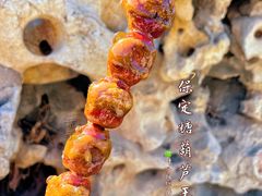 -糖葫芦王保定名吃(古莲花池店)
